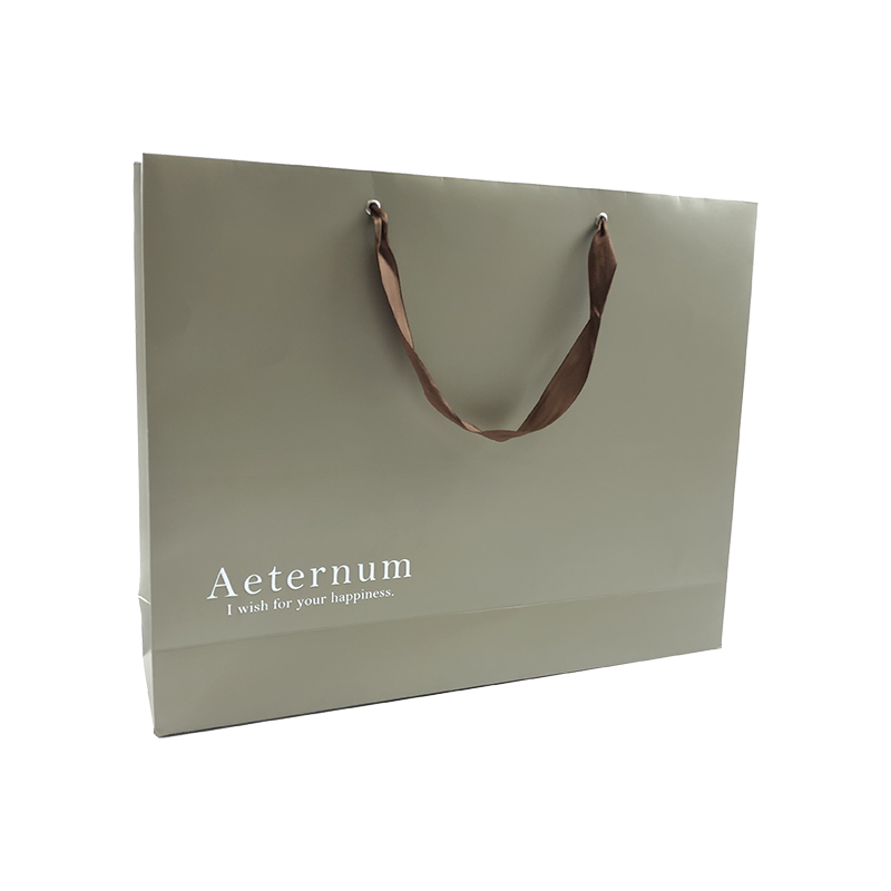 Luxury gift shopping paper bag 